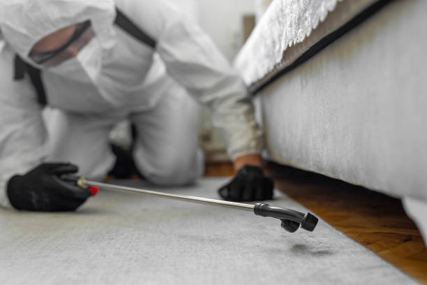Professional Bed Bug Control technician working in Lido Beach, NY